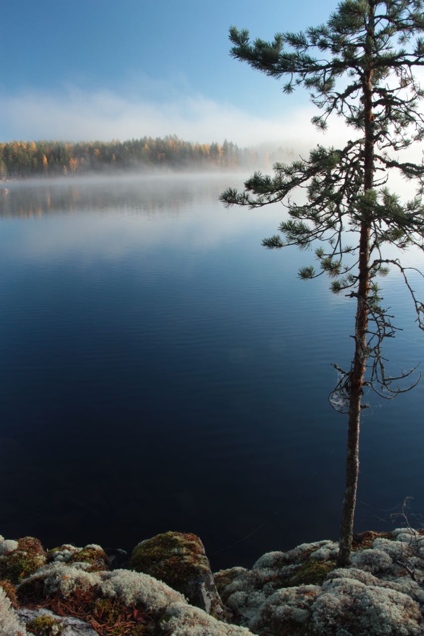 Suomen luonto