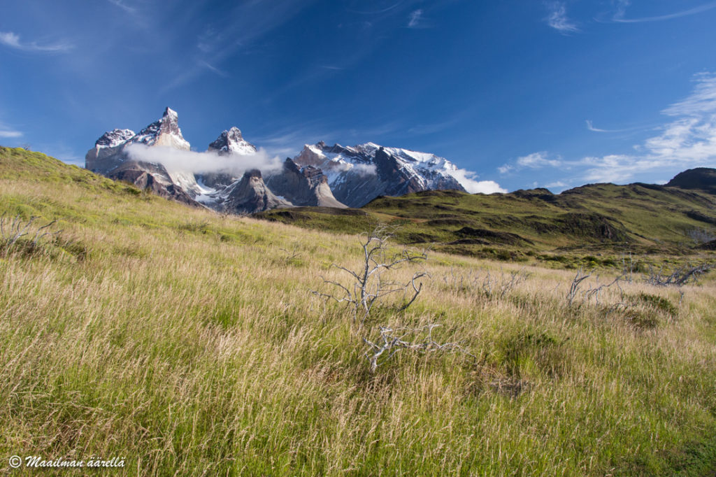 Torres del Paine