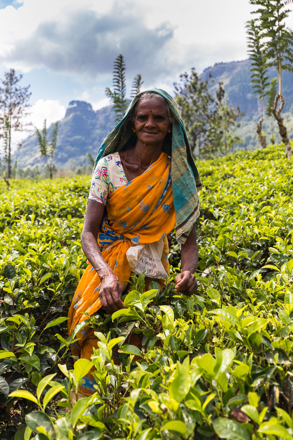 Sri Lanka teeplantaasi