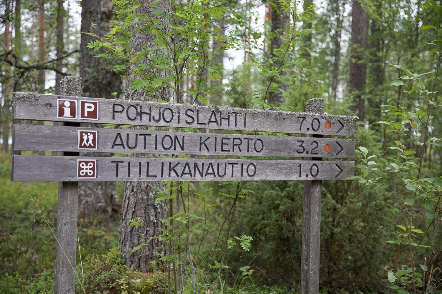 Tiilikkajarven_kansallispuisto