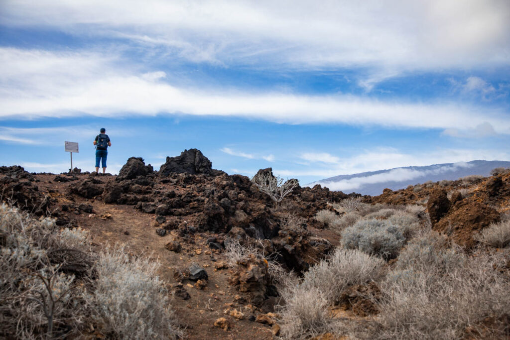 Luontomatkaajan Kanariansaaret