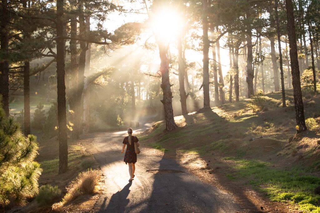 Luontomatkaajan Kanariansaaret