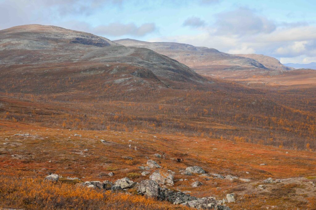 Kilpisjärven kauneimmat ruskakohteet