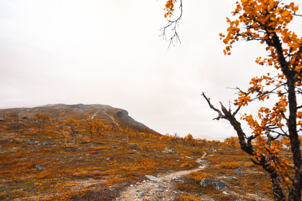 Kilpisjärven kauneimmat ruskakohteet